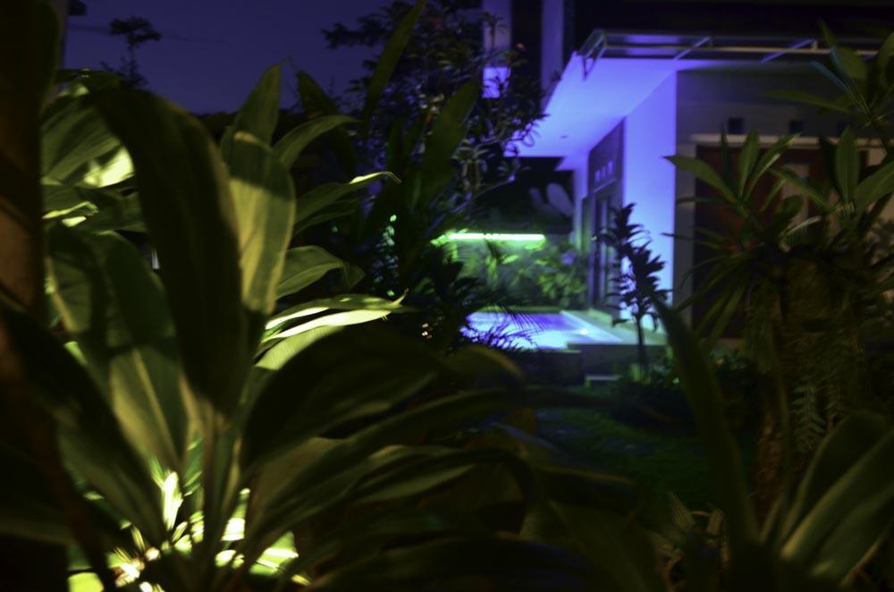 Beluran Serene Guesthouse Selemadeg Exteriör bild